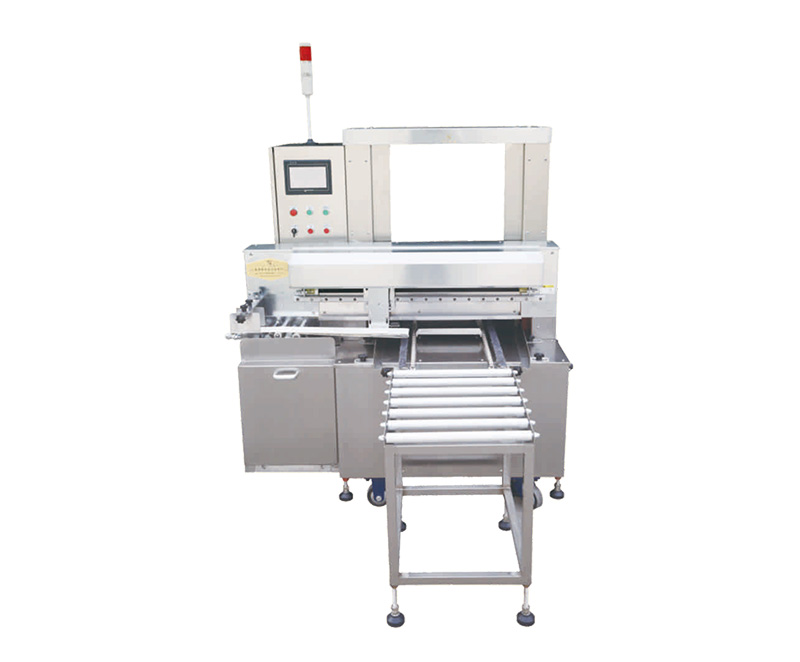 WL-YZP automatic tray arranging machine